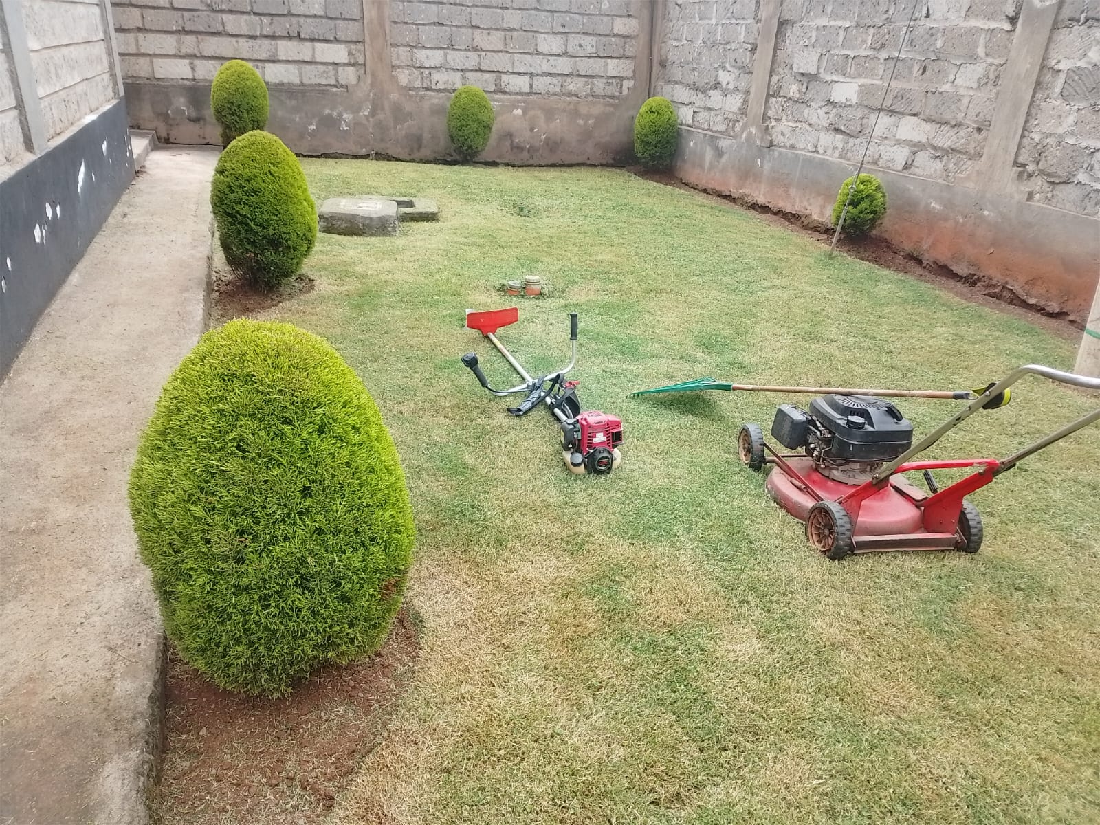 Kellyscappers Central work yard with trimmed topiary, lawn mower and brush cutter on a mowed lawn