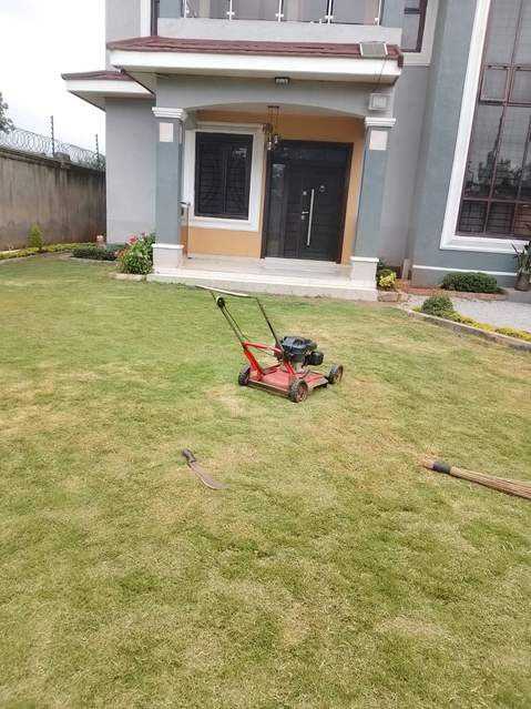 Lawn in front of modern house — by Kellyscappers Central
