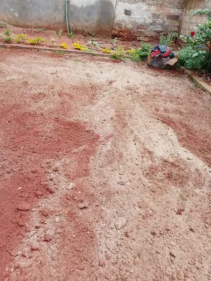 Soil spread across lawn area — by Kellyscappers Central